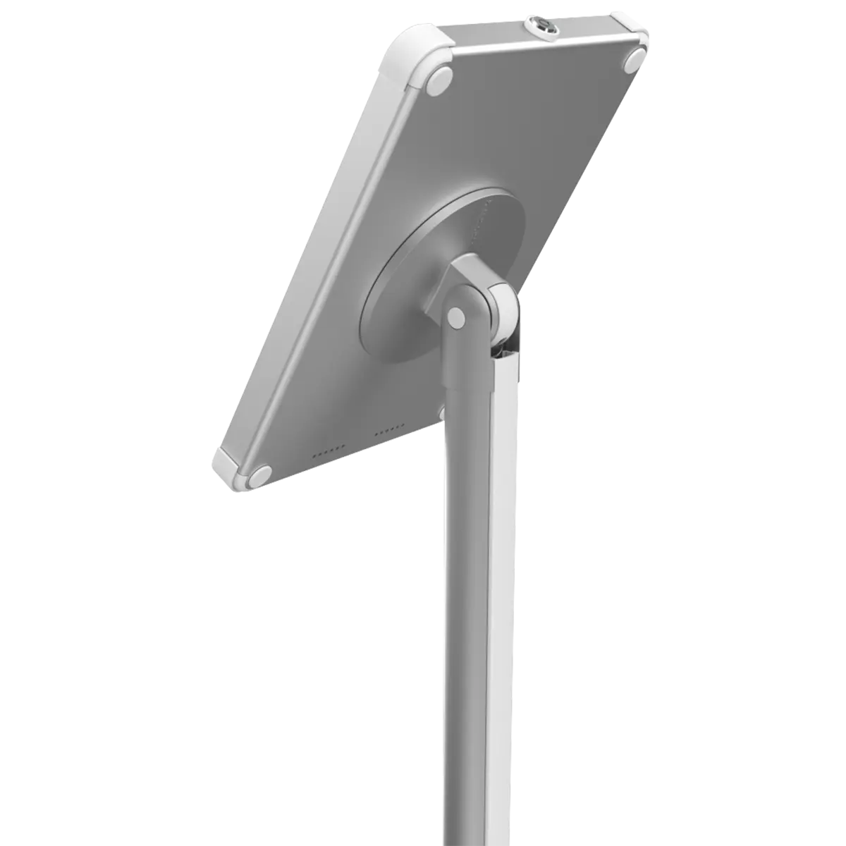 Floor Hero Back White